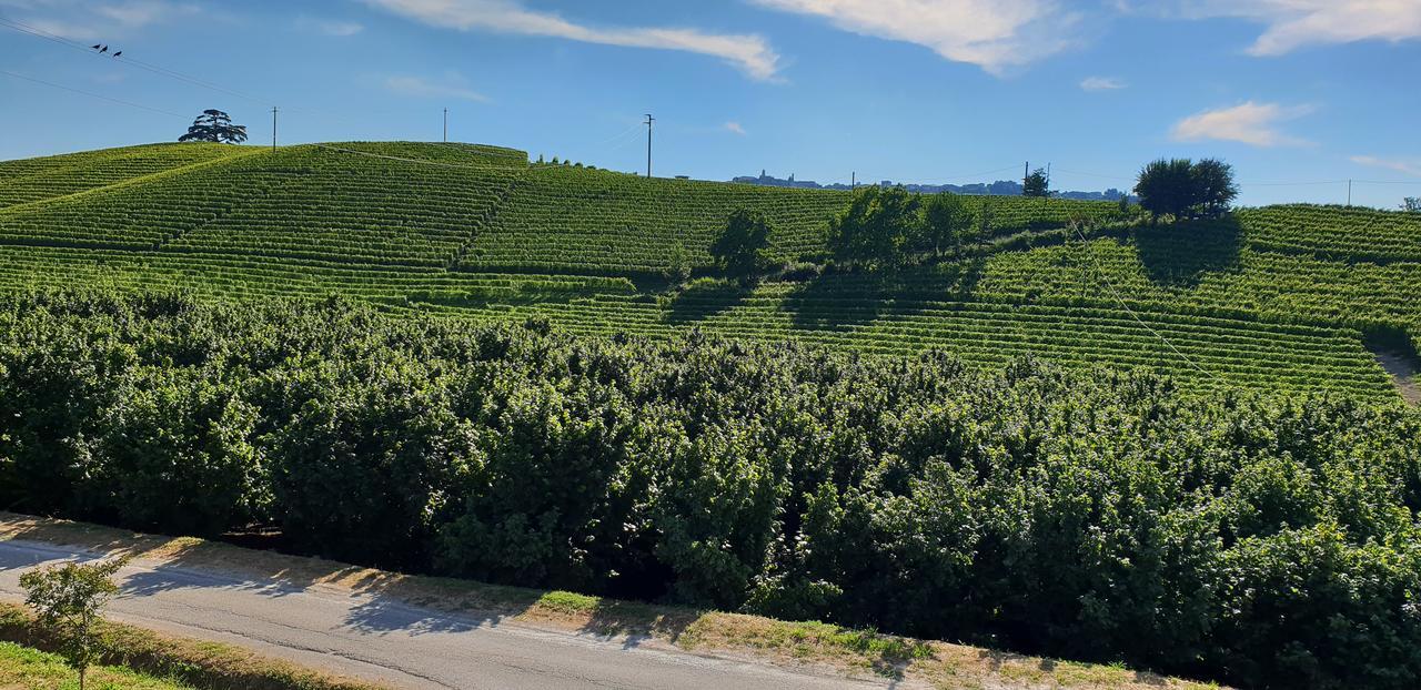 Cascina Goretta Agriturismo Ла Мора Екстериор снимка